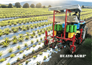 Pineapple Seedling Transplanter