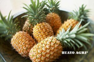 Pineapple